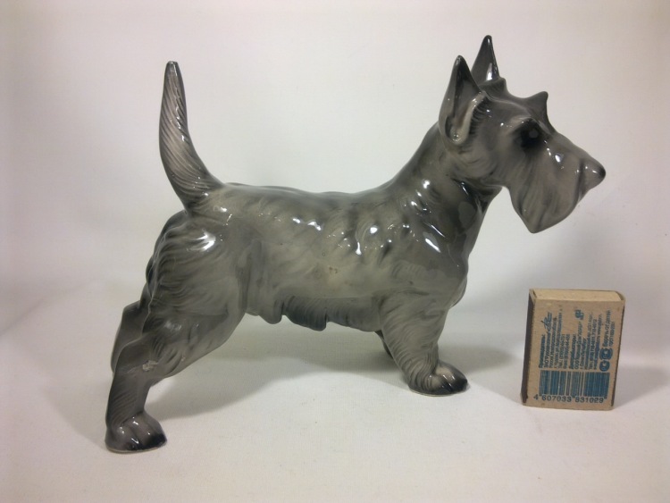 13. Скотч-терьер серый