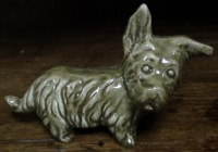 20. Скотч-терьер майолика серый