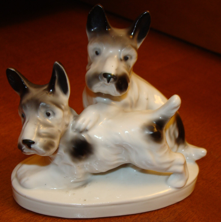 42. Парочка играющих скотч-терьеров