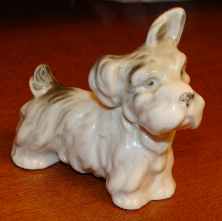 44. Скотч-терьер с одним поднятым ухом