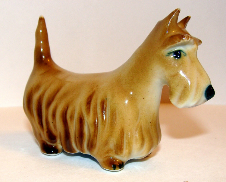 45. Венгерская девочка скотч-терьер